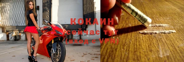ПСИЛОЦИБИНОВЫЕ ГРИБЫ Верея
