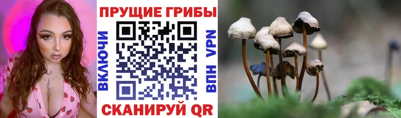 Галлюциногенные грибы прущие грибы как найти гидра ссылка Благовещенск